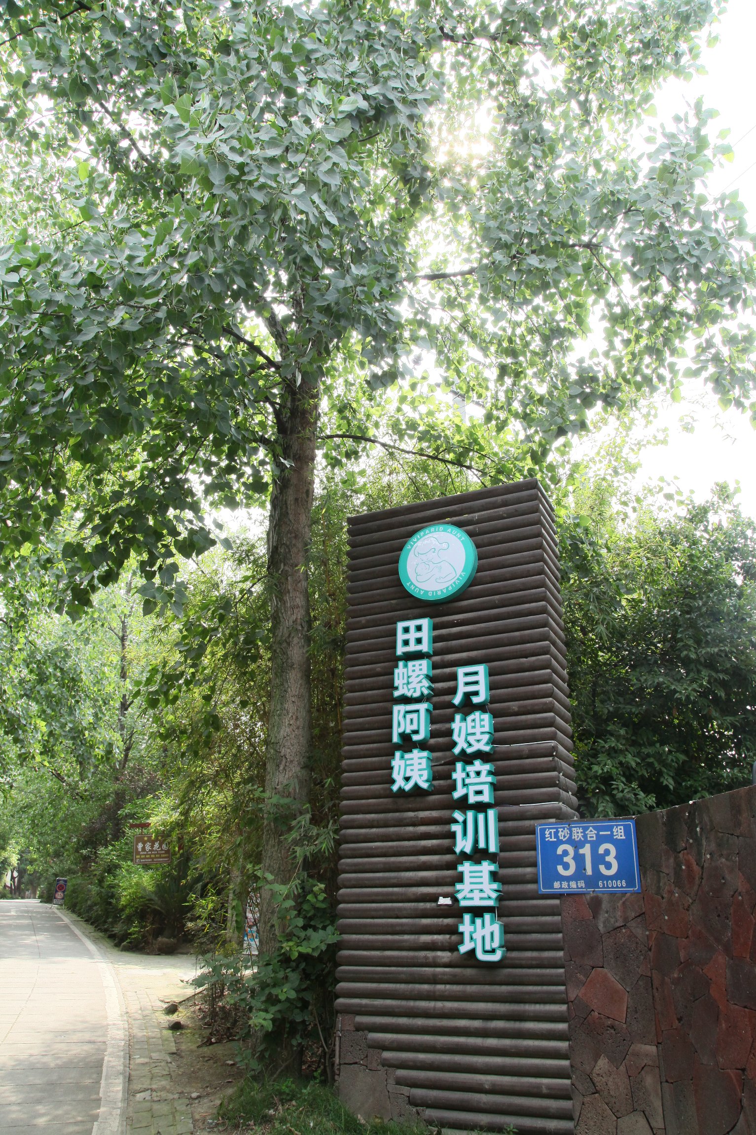 1556433466774051.jpg 下載.jpg