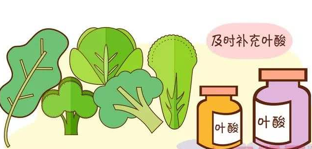 1570788175238159.png 孕期葉酸.png